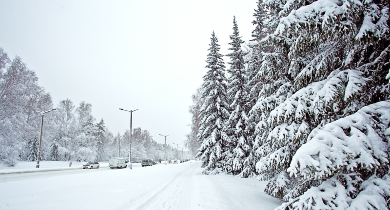 10 Things You Can Do to Support Your Mental + Physical Health If You Have Seasonal Affective Disorder (SAD)